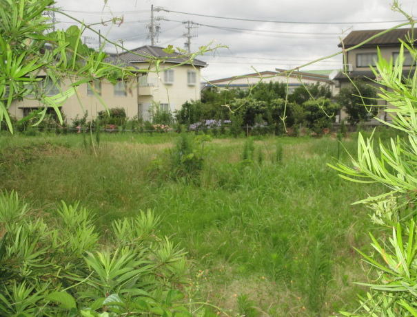 掛川市菊浜の売土地をお預かりしました！