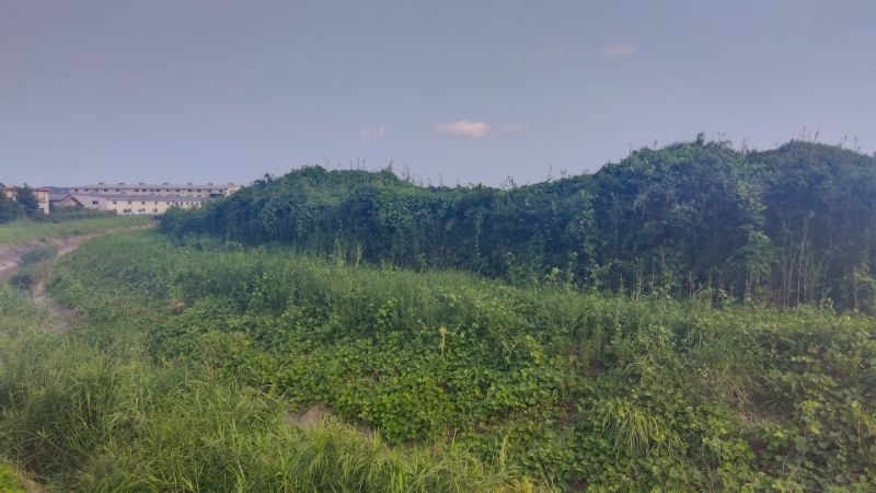 掛川市中の売土地をお預かりしました
